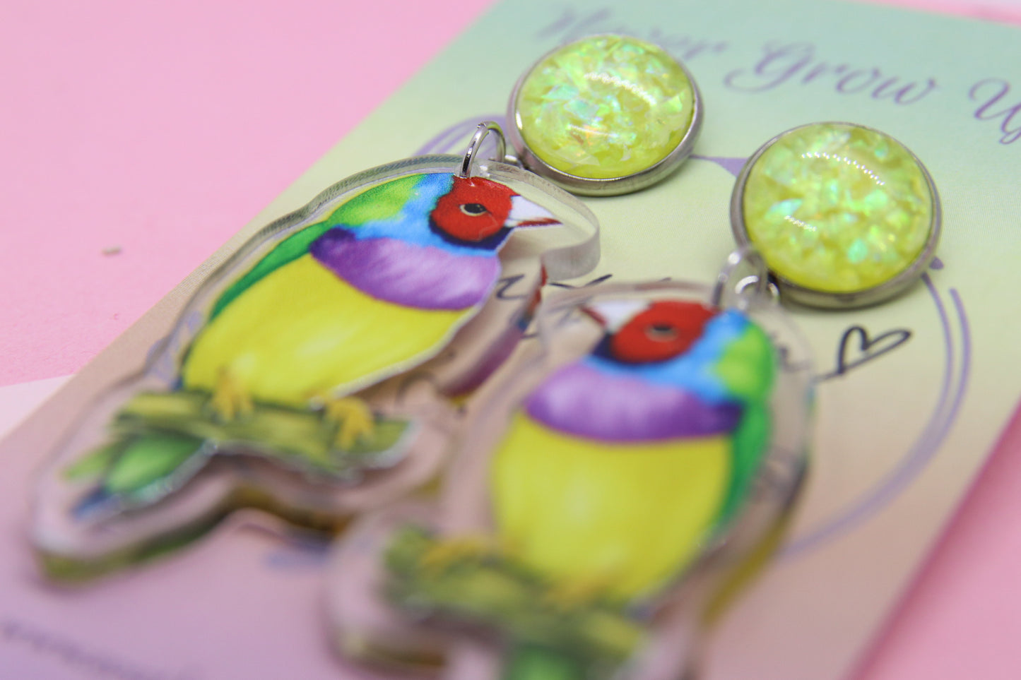Gouldian Finch Statement Earrings
