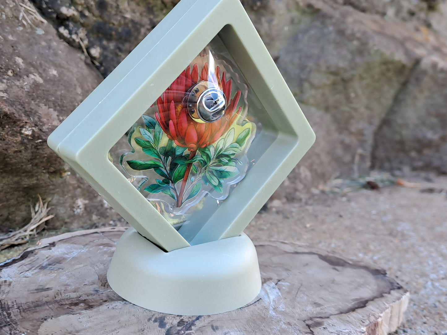 Protea Pin In Display Case