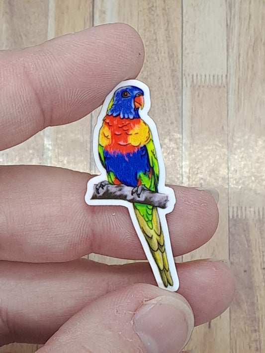 Lorikeet Badge