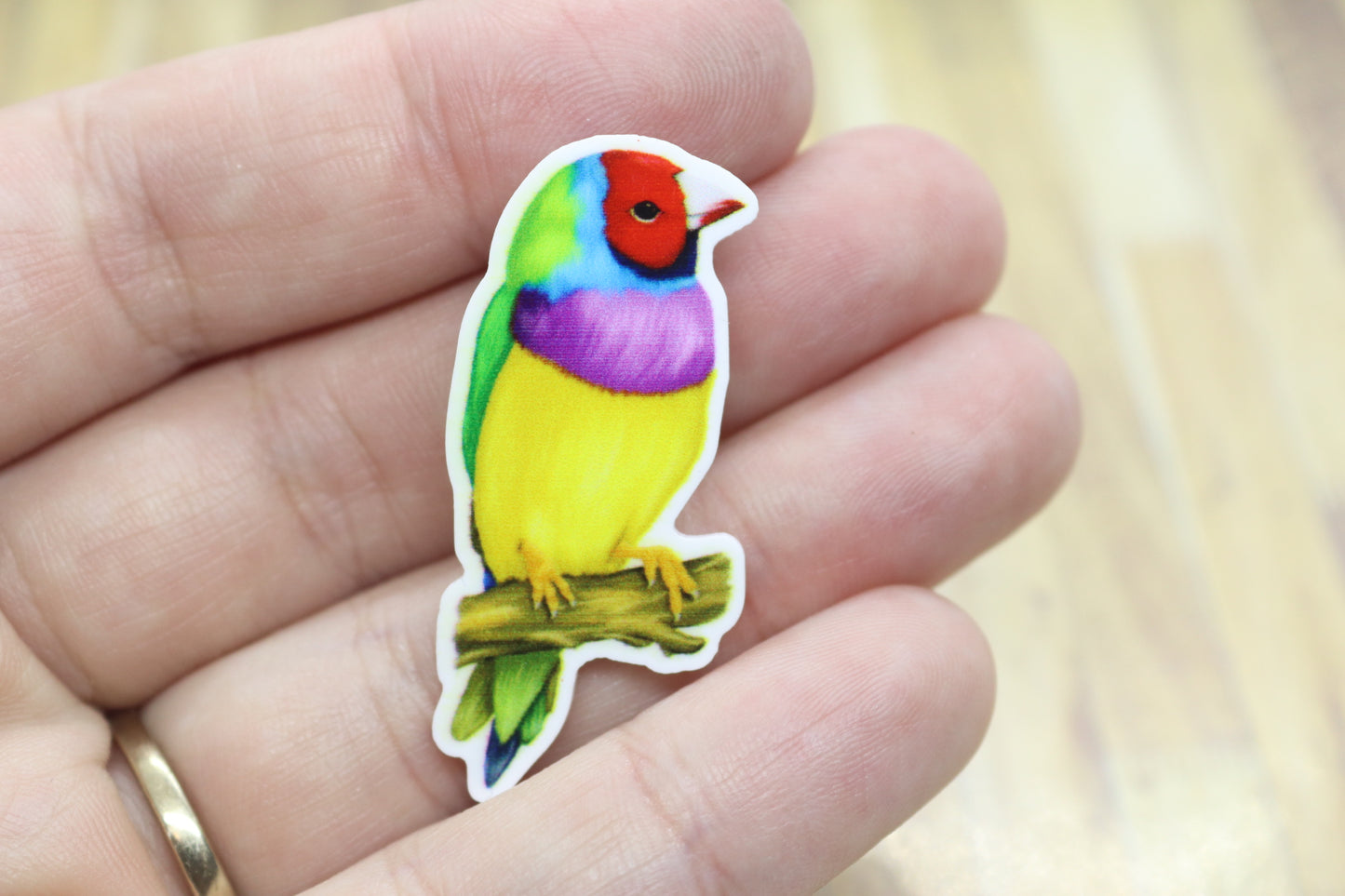 Gouldian Finch Badge