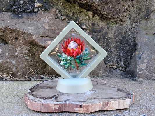 Protea Pin In Display Case